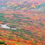 紅葉の栗駒山登山の写真（いわかがみ平から中央ルート）
