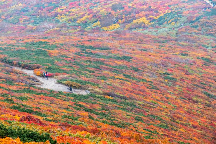 紅葉の栗駒山登山の写真（いわかがみ平から中央ルート）