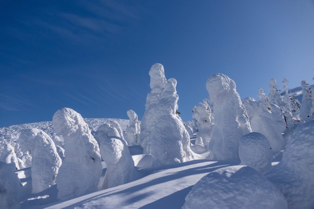山形蔵王の樹氷おすすめのスポット